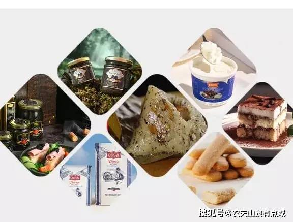 午论坛：意文EWEN食品引领春季节令糕点产业发展麻将胡了2游
