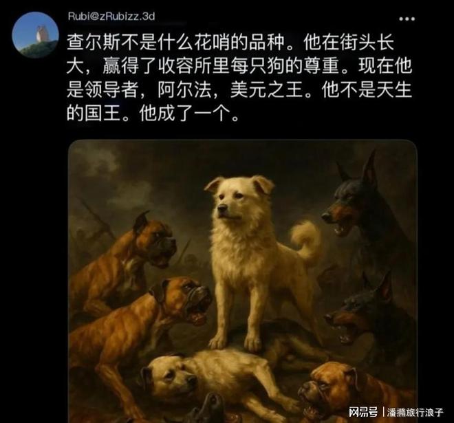 ”爆火！身价飙升至10万美元狗主人被扒麻将胡了电子游戏贵州下司犬“查理国王(图10)