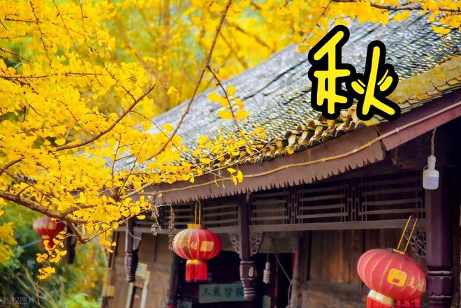 更适合秋天吃的菜合理“贴秋膘”不能乱补麻将胡了试玩网站免费进入秋季推荐5道(图4)