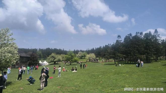 玩吃喝玩乐全包金旅假日重庆旅游指南PG电